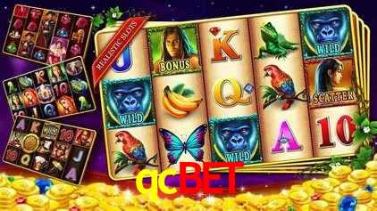 qcbet Brasília - Bonus Features